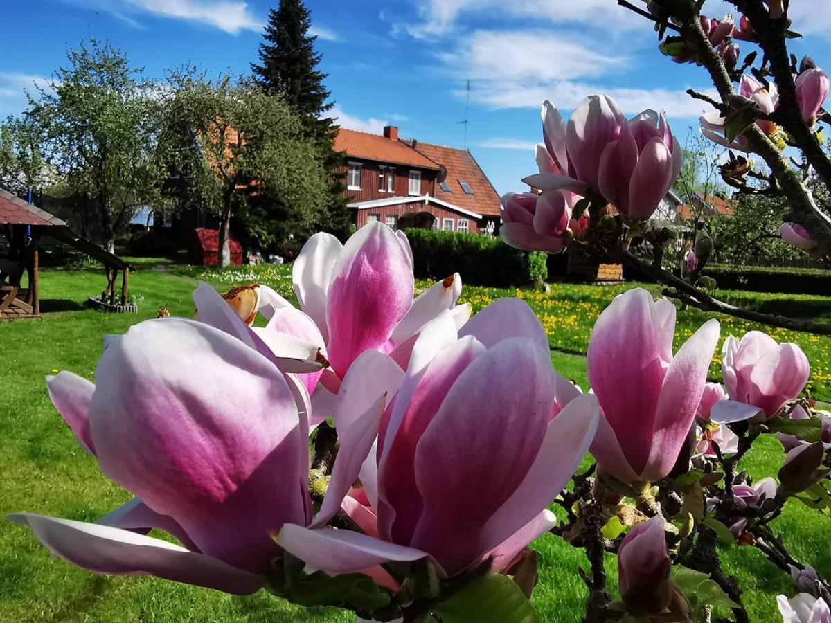 Neringarent Apartamentai Juodkrantė Esterno foto